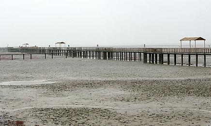 《怪物猎人：荒野》公测结束 官方提醒玩家填问卷反馈意见